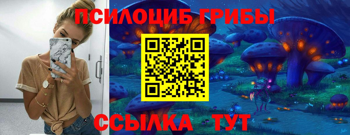 Галлюциногенные грибы ЛСД Горно-Алтайск