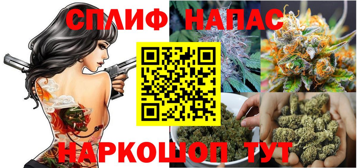 Конопля сатива  Канабис план  Конопля марихуана  Горно-Алтайск  Конопля Ganja  Вход с VPN 